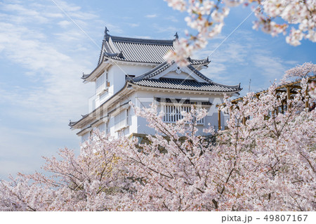 桜の名所 津山城跡 桜の名所 津山城跡 49807167