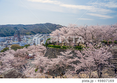 桜の名所 津山城跡 桜の名所 津山城跡 49807169