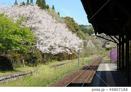 春のローカル線のホームから 49807188