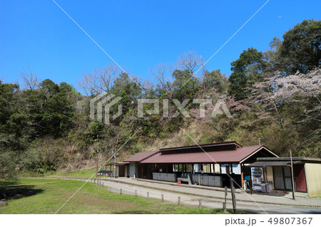 市原市市民の森 49807367