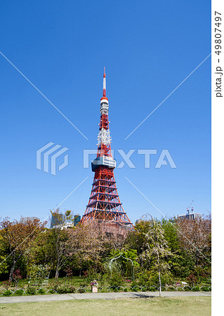 芝公園から望む東京タワー 芝公園から望む東京タワー 49807497