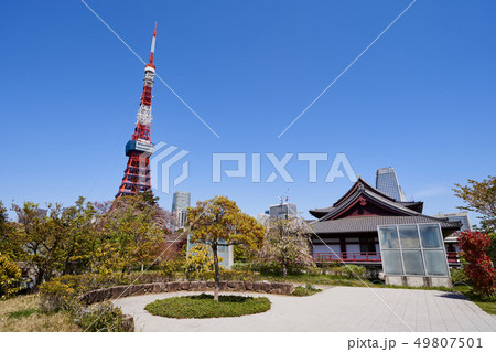 芝公園から望む東京タワー 49807501