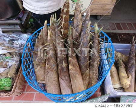 筍 たけのこ タケノコ 49807969