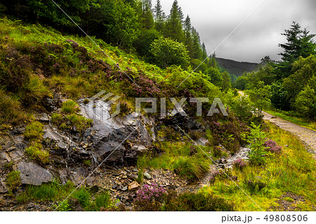 Hiking Trail Through Scenic Forest Landscape On Th 49808506