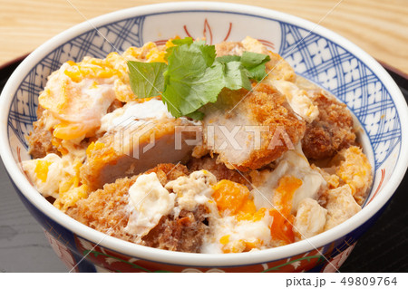 ヒレカツ丼 49809764