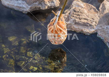 Hot Springs Hot Springs 49809808