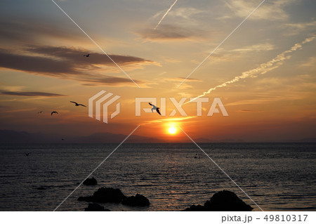 南あわじ市丸山の夕日、丸山海岸の夕日 南あわじ市丸山の夕日、丸山海岸の夕日 49810317
