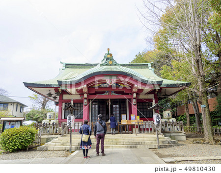 市谷亀岡八幡宮の社殿（東京都新宿区） 49810430