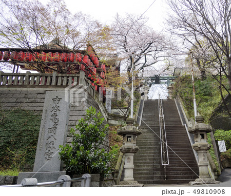 市谷亀岡八幡宮の参道と鳥居（東京都新宿区） 49810908