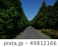 トレイル 森の道 道 49812166
