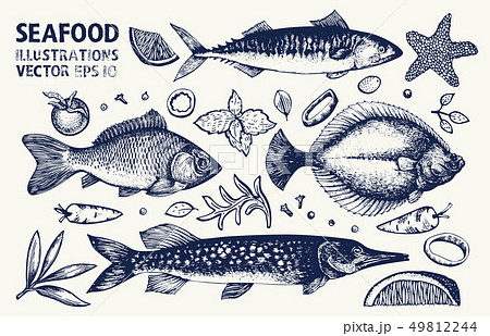 Fishes and spices vector set. Vintage hand drawn 49812244