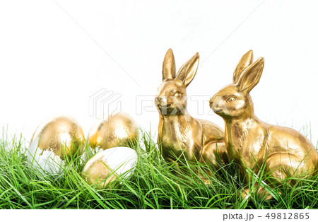 Golden bunnies Easter eggs green grass white 49812865