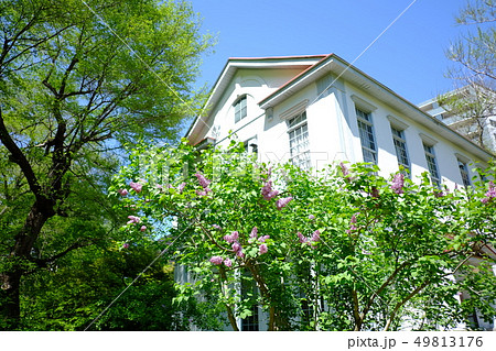 北海道大学植物園 北海道大学植物園 49813176