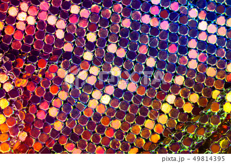 Luxury abstract background. Metallic textured.  49814395