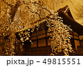 古都の春 49815551