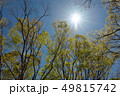 太陽と新緑 49815742