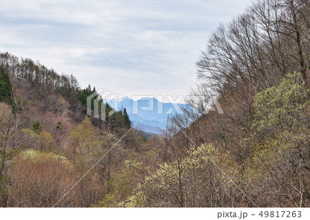 長野県 国道152号からの景色 長野県 国道152号からの景色 49817263