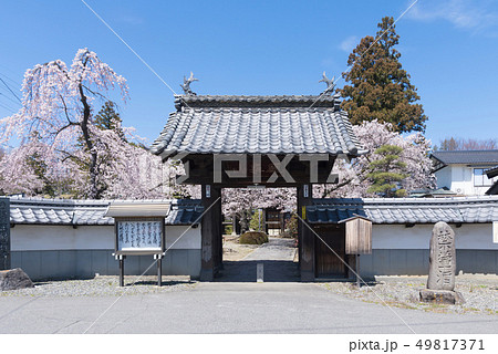 春の正麟寺　松本市 49817371