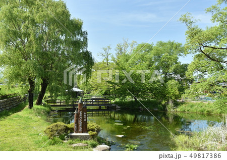 新緑の安曇野わさび田湧水群 新緑の安曇野わさび田湧水群 49817386