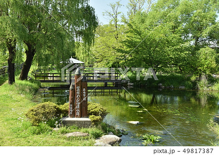 安曇野わさび田湧水群 安曇野わさび田湧水群 49817387