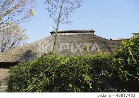 赤羽自然観察公園　東京都北区　 49817402