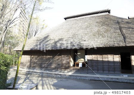赤羽自然観察公園 東京都北区 赤羽自然観察公園 東京都北区 49817403