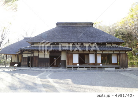 赤羽自然観察公園 東京都北区  赤羽自然観察公園 東京都北区  49817407