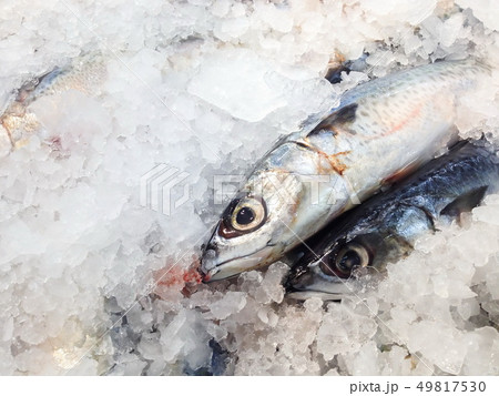 Fresh Saba fish in market 49817530