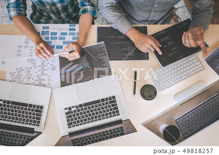 Professional Developer programmer cooperation 49818257