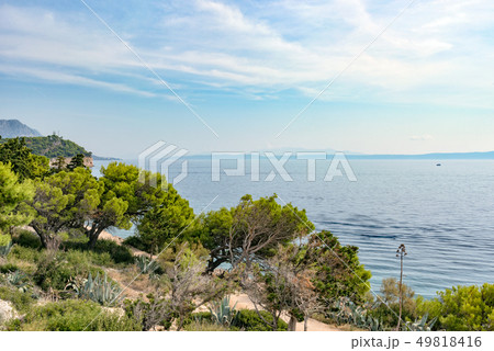 Beautiful beach of the Adriatic sea with the sun and green pine trees Beautiful beach of the Adriatic sea with the sun and green pine trees 49818416