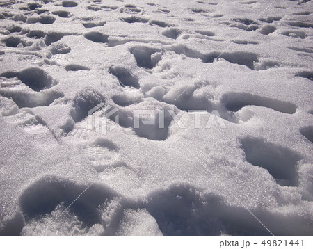 Several deep footprints in fresh snow 49821441