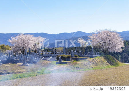 墓地と桜と空_鳥取県倉吉市志津にて 墓地と桜と空_鳥取県倉吉市志津にて 49822305