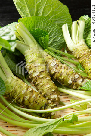 生ワサビ 49824121