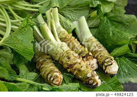 生ワサビ 49824125