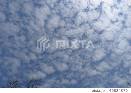 雲 空 春 49824370