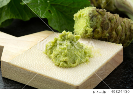 生わさび鮫皮おろし 49824450