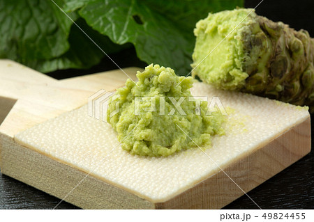 生わさび鮫皮おろし 生わさび鮫皮おろし 49824455