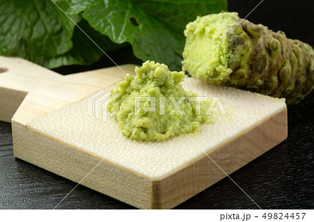 生わさび鮫皮おろし 生わさび鮫皮おろし 49824457