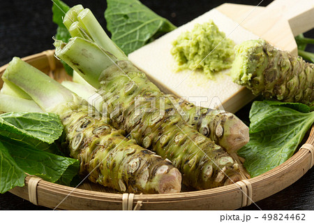 生わさび鮫皮おろし 49824462