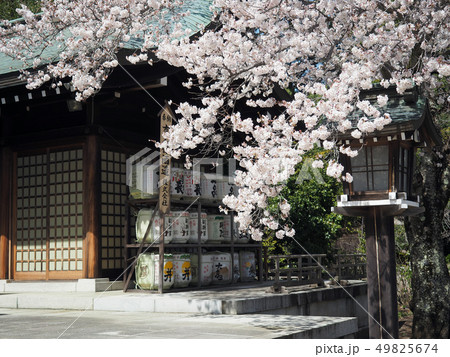 茨城県水戸市の護国神社 49825674