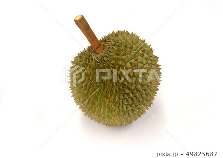 durian fruits isolated on white background durian fruits isolated on white background 49825687