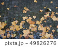 落ち葉 49826276