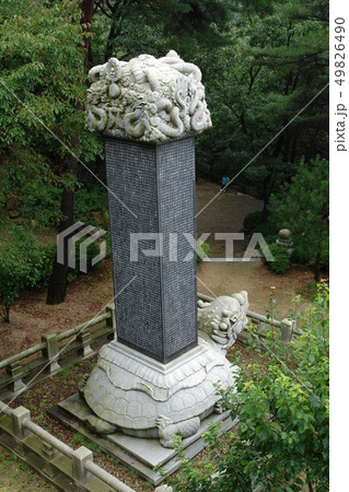 貴腐 韓国 ソウル 49826490