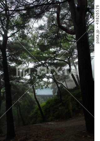 韓国 ソウル 鍾路区 49826576