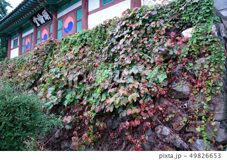 仁川郷校 グァンギョドン 南 49826653