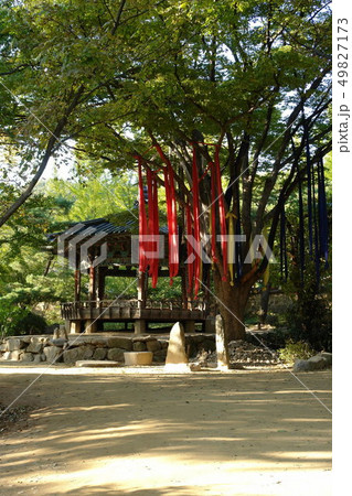 木 か ソナンダン 49827173