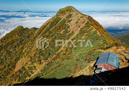 八ヶ岳連峰・権現小屋とギボウシ・北アルプスの眺め 八ヶ岳連峰・権現小屋とギボウシ・北アルプスの眺め 49827542