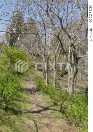 緑地　道　緑地帯　公園　 49827830