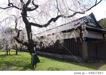 平成31年春季皇居乾通り一般公開(門長屋) 平成31年春季皇居乾通り一般公開(門長屋) 49827847