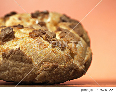 シュークリーム 49828122